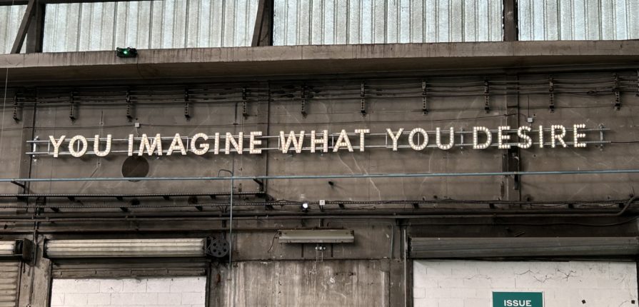 You Imagine What You Desire