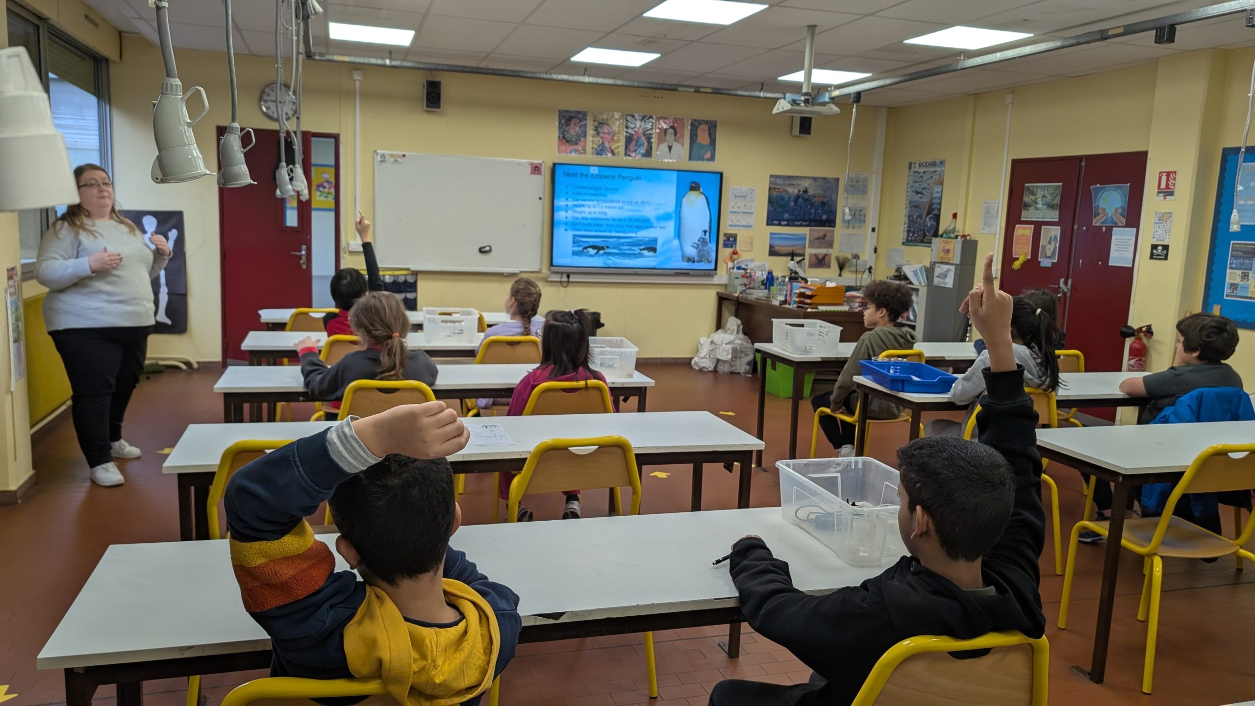 Students raising hands while listening to their teacher